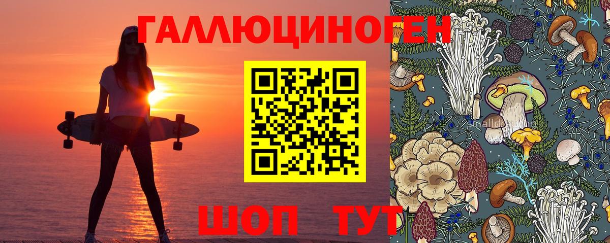 Псилоцибиновые грибы GOLDEN TEACHER  Псилоцибиновые грибы GOLDEN TEACHER  где продают наркотики  Черемхово  Вход с VPN 